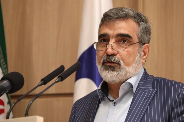 کمالوندی: تحریم مقامات سازمان انرژی اتمی تاثیری بر روند فعالیت‌ های هسته‌ ای ندارد