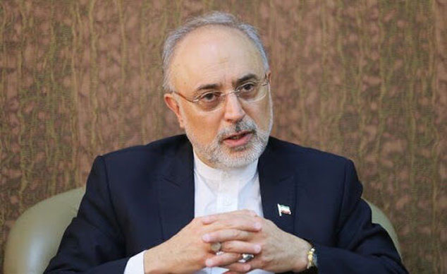 صالحی: ایران از صادرکنندگان رادیوداروها در جهان است