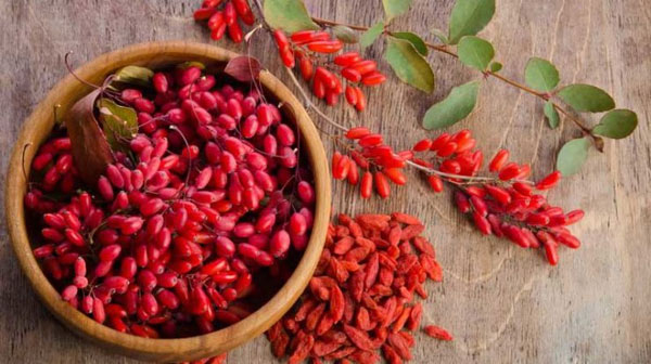 خطاب محققان به باکتری‌های دندانی: زرشک!