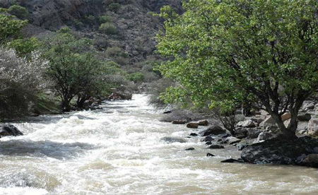 با پارک ملی بختگان در شیراز آشنا شوید
